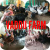 Picture of Poultry for sale / பறவைகள் விற்பனைக்கு